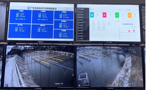 花都區(qū) 科技興漁啟新程，人工智能與“芯片魚”引領(lǐng)智慧漁業(yè)探索
